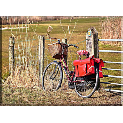 Bicicleta sobre la valla