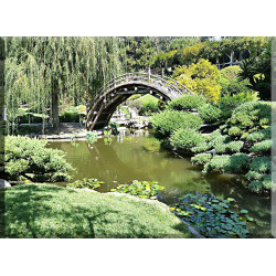 Japonés Jardín Zen Estanque Oriental