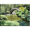 Japonés Jardín Zen Estanque Oriental