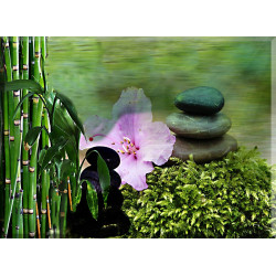 Zen Jardín Japonés Jardín Meditación Calma