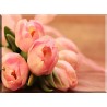Tulipanes ramo