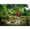 La Naturaleza Aguas Árbol Hoja Río