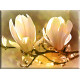 magnolia fondo abstracto-