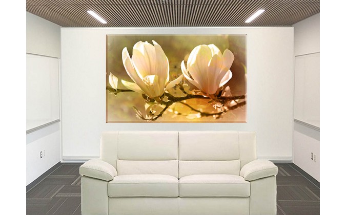 magnolia fondo abstracto-