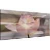 9033-Rosa abstracta