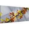 Rama flor del cerezo