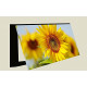 Cubre contador planta girasol