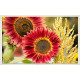 Cubre contador girasol rojo