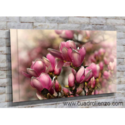 5502-Manojo de magnolias