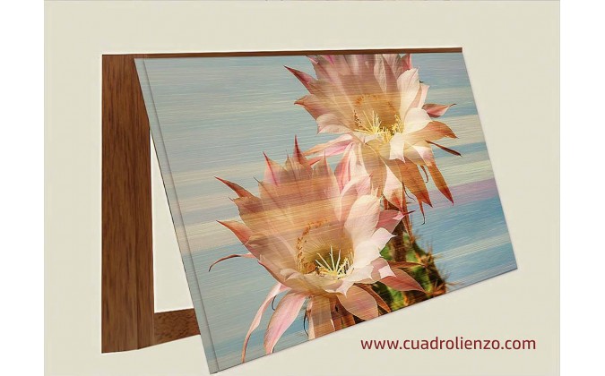 Cubrecontador Cactus Flor