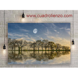 bosque reflejado