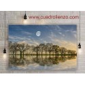 bosque reflejado