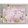 Cerezo Pétalos Primavera