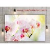 Orquídea De Plantas Ornamentales
