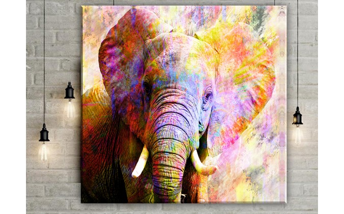 elefantes colores vivos