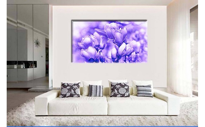 Magnolia lila
