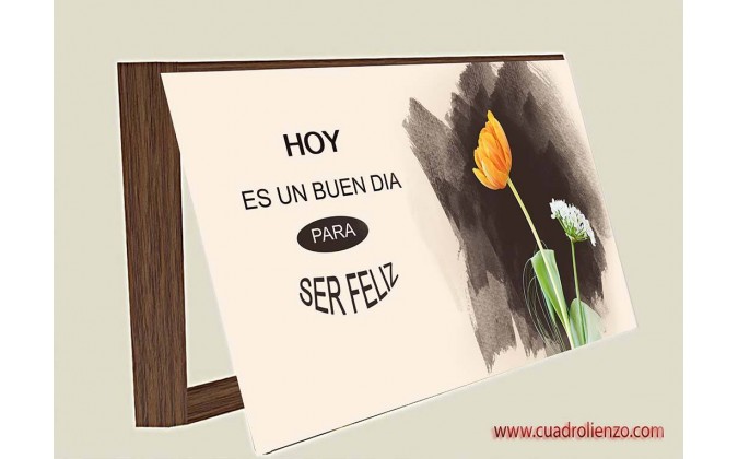cubrecontador Hoy es un buen dia