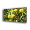 Spring-2033