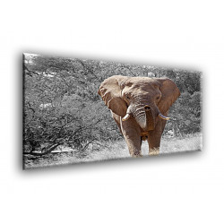 50400-Elefante grande