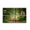 22007-Camino selva