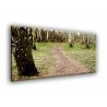 22009-Hacia el bosque