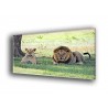 50704-Pareja