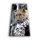 50901-Leopardo