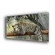 50906-Tigre descansando