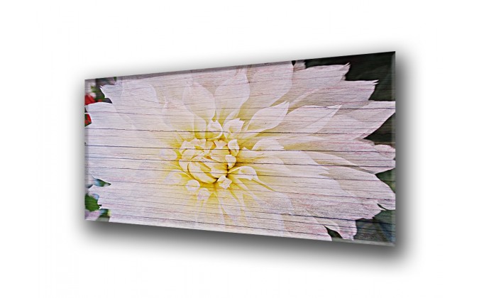3025-Flower dalhia