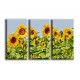 4005-girasoles con abejas