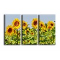 4005-girasoles con abejas