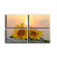 4006-Girasoles al sol