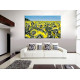 4007-Girasoles amarillos