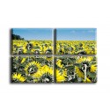 4007-Girasoles amarillos