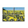 4007-Girasoles amarillos