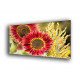 4009-Girasol rojo