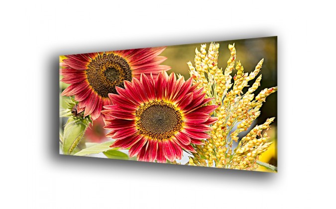 4009-Girasol rojo