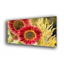 4009-Girasol rojo