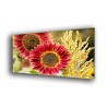 4009-Girasol rojo