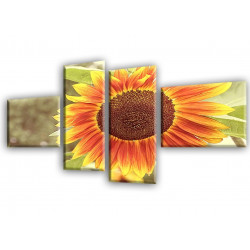 4011-Girasol naranja