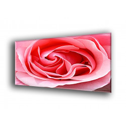 9010-Rosa pétalos