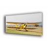 41004-Aviation