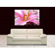 5010-Planta lirio rosa