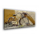 75004-Bicicleta antigua sin uso