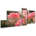 9513-Planta tulipanes de primavera