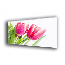 9516-Par de tulipanes rosa flameado