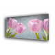 9517-Tulipanes flores rosadas