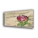 9519-Tulipán con partitura