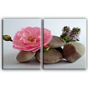 5012-Flor piedras meditación
