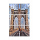 20507-Puente Nueva york